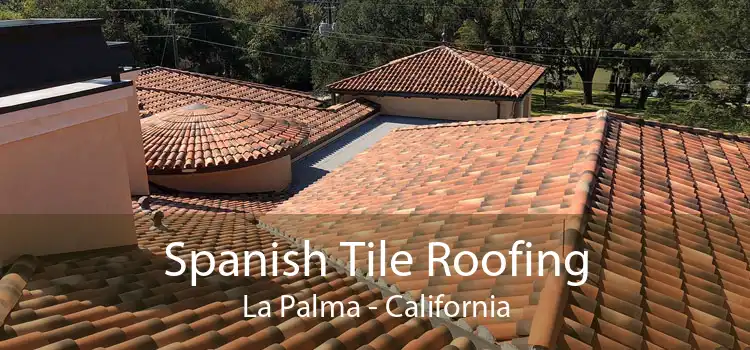 Spanish Tile Roofing La Palma - California